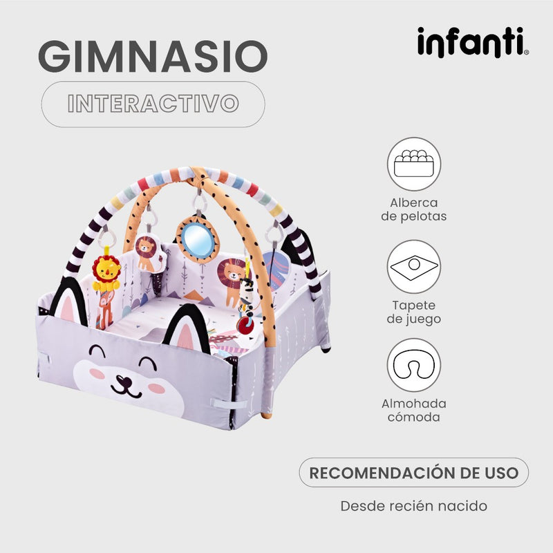 Infanti Gimnasio- Alberca De Pelotas ''Fox''