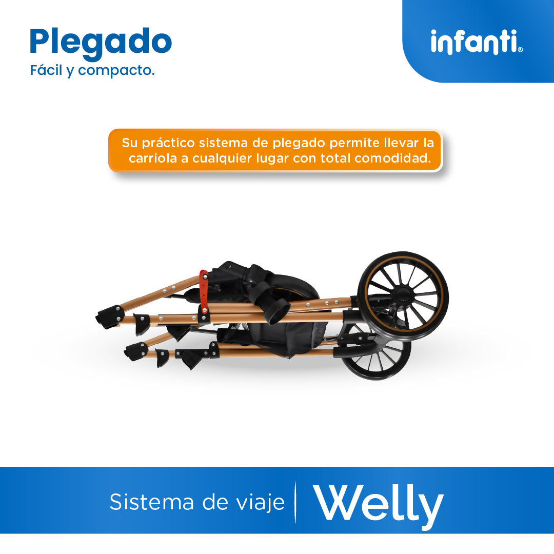 Carriola Sistema de Viaje Welly Convertible a Bambineto Negro con Portabebé Grupo0+, Asiento Reversible, Reclinado Ajustable, Arnés de 5 Puntos, Toldo Plegable, Cubrepiés y Canastilla Amplia para Bebé