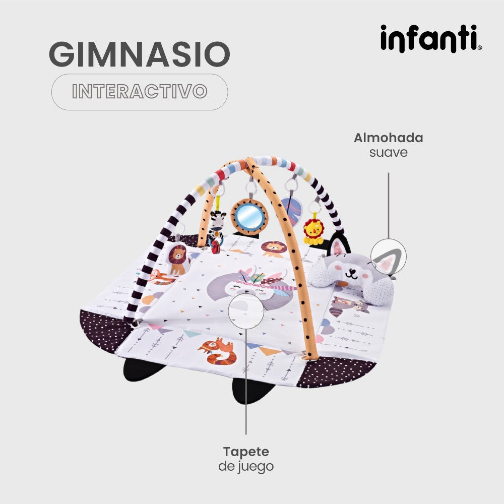 Infanti Gimnasio- Alberca De Pelotas ''Fox''