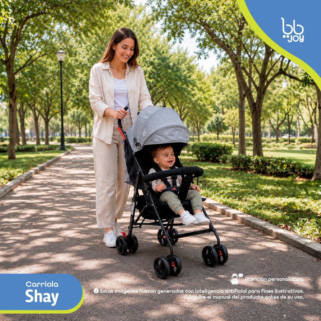 BB Joy Carriola Shay Ligera Plegable Gris Con Barra Y Toldo