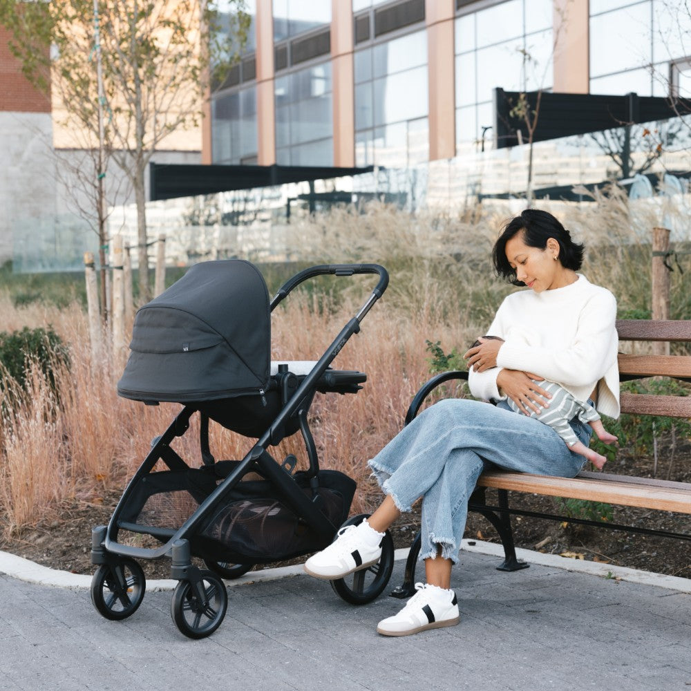 Carriola UPPAbaby Vista V3 Jake: Mango Telescópico, Asiento Reversible y Toldo Expandible con Protección UPF 50+