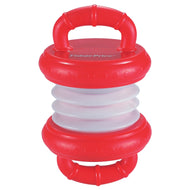 Set Musical 2 En 1 Armónica Y Acordeón Fisher Price Juguete
