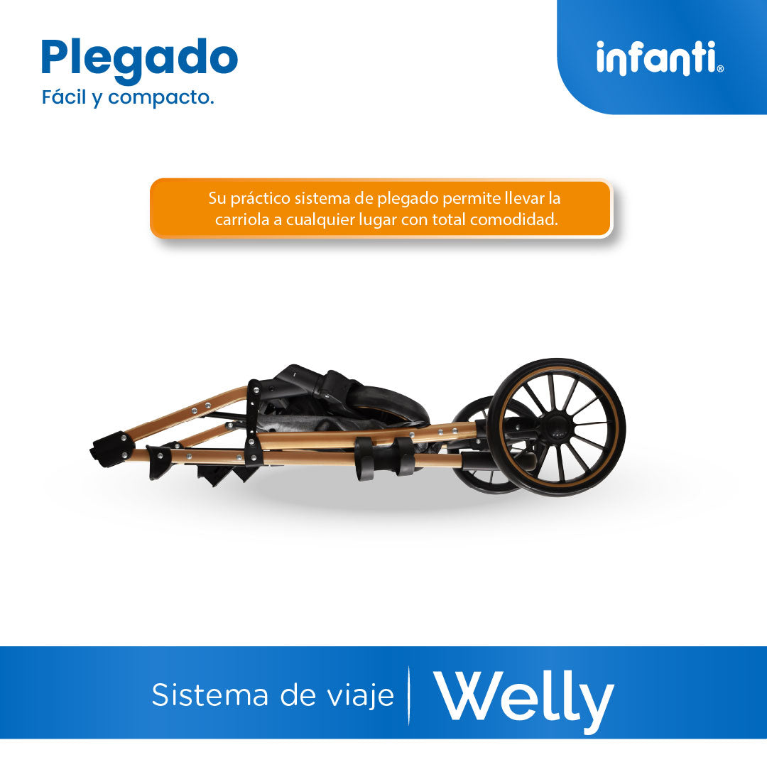 Carriola Sistema de Viaje Welly Convertible a Bambineto Negro con Portabebé Grupo0+, Asiento Reversible, Reclinado Ajustable, Arnés de 5 Puntos, Toldo Plegable, Cubrepiés y Canastilla Amplia para Bebé
