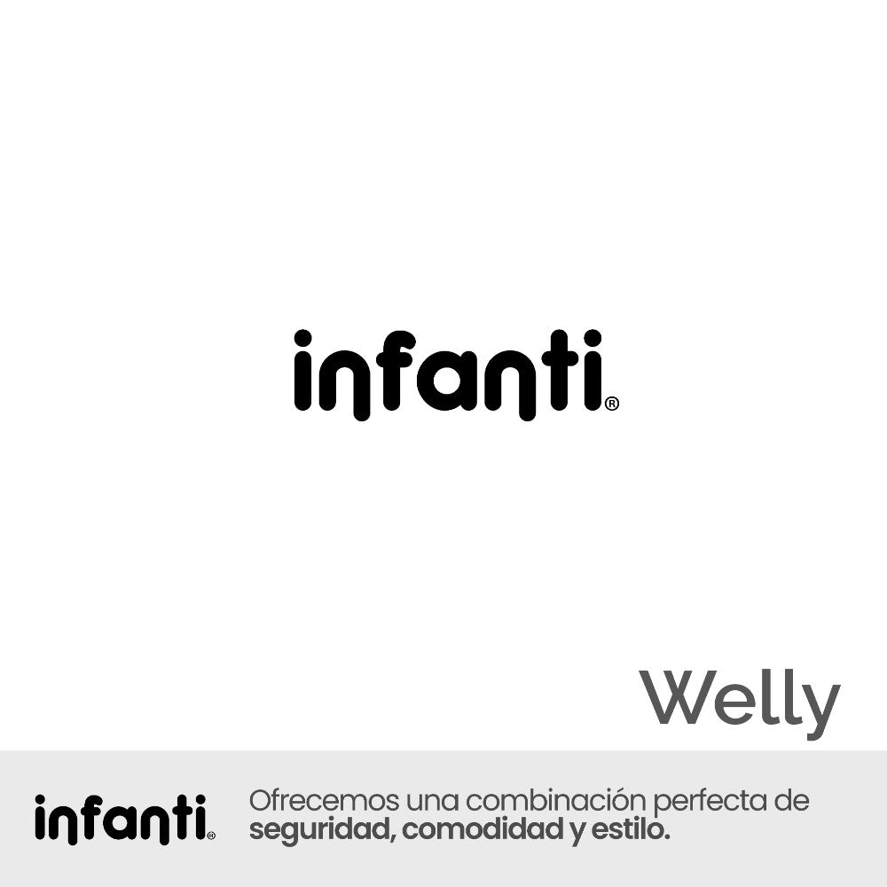 Infanti Carriola Sistema De Viaje Welly Convertible A Bambineto Color Gris
