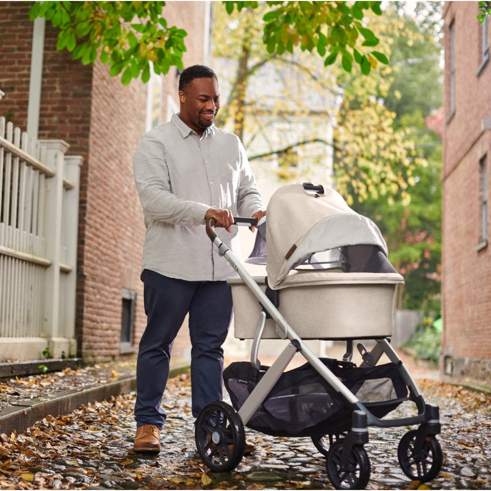 Bambineto UPPAbaby Vista - Cruz V2 Declan: Mosquitero y Toldo Expandible con Protección UPF 50+