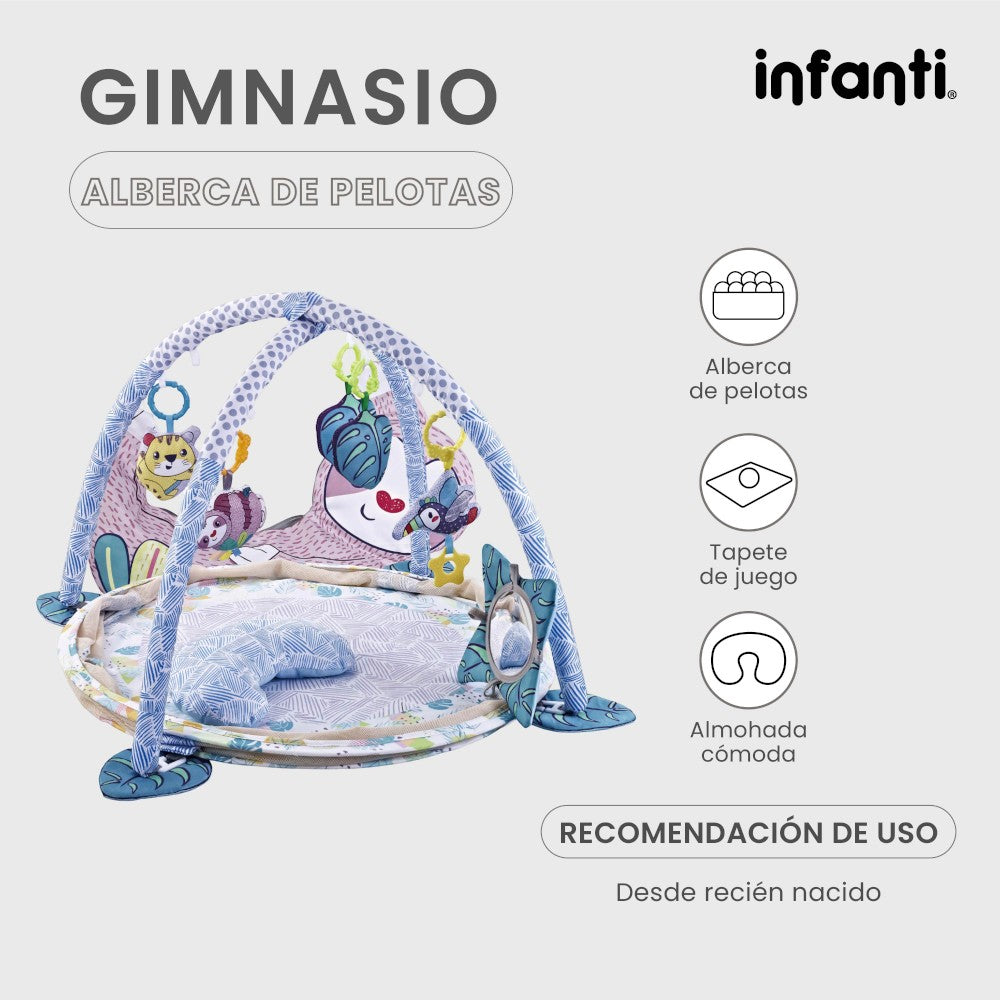 Infanti  Gimnasio- Alberca  De Pelotas ''Sloth''