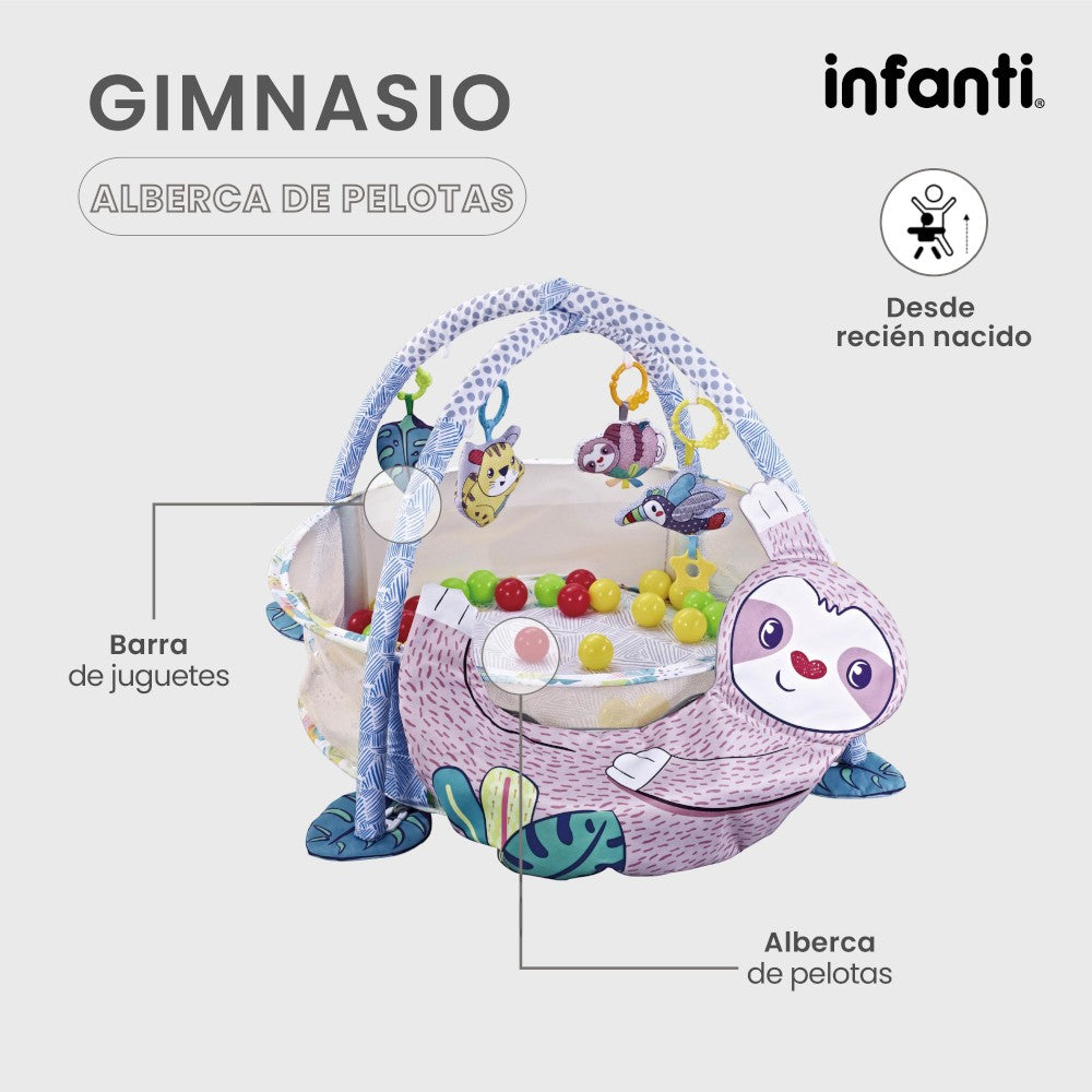 Infanti  Gimnasio- Alberca  De Pelotas ''Sloth''