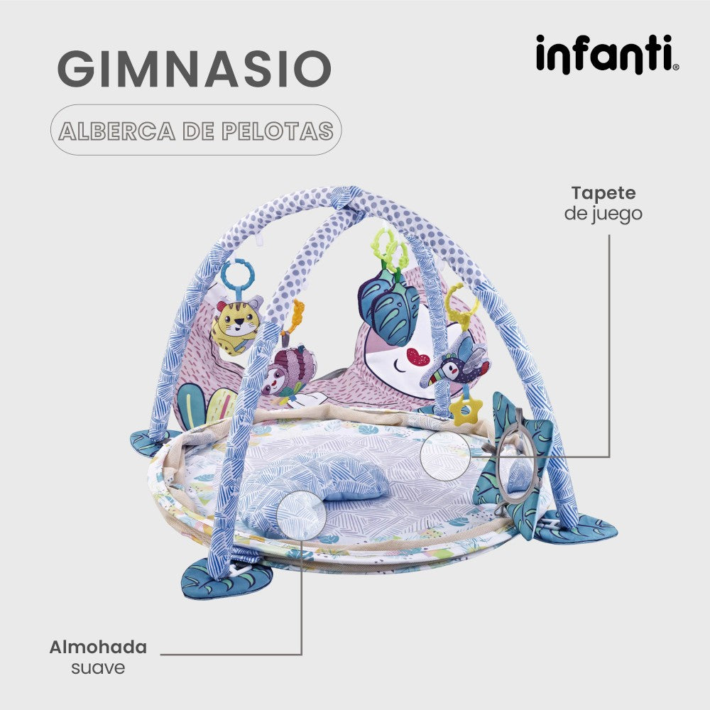 Infanti  Gimnasio- Alberca  De Pelotas ''Sloth''