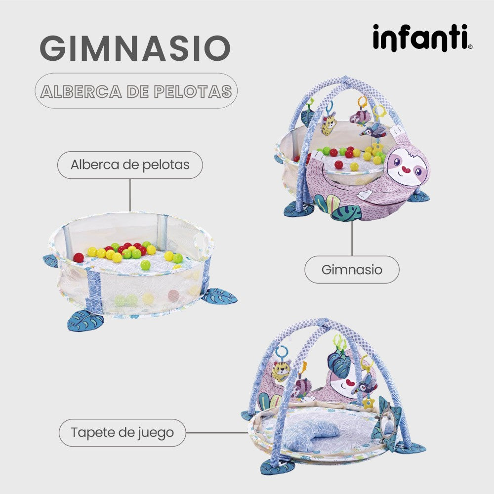 Infanti  Gimnasio- Alberca  De Pelotas ''Sloth''